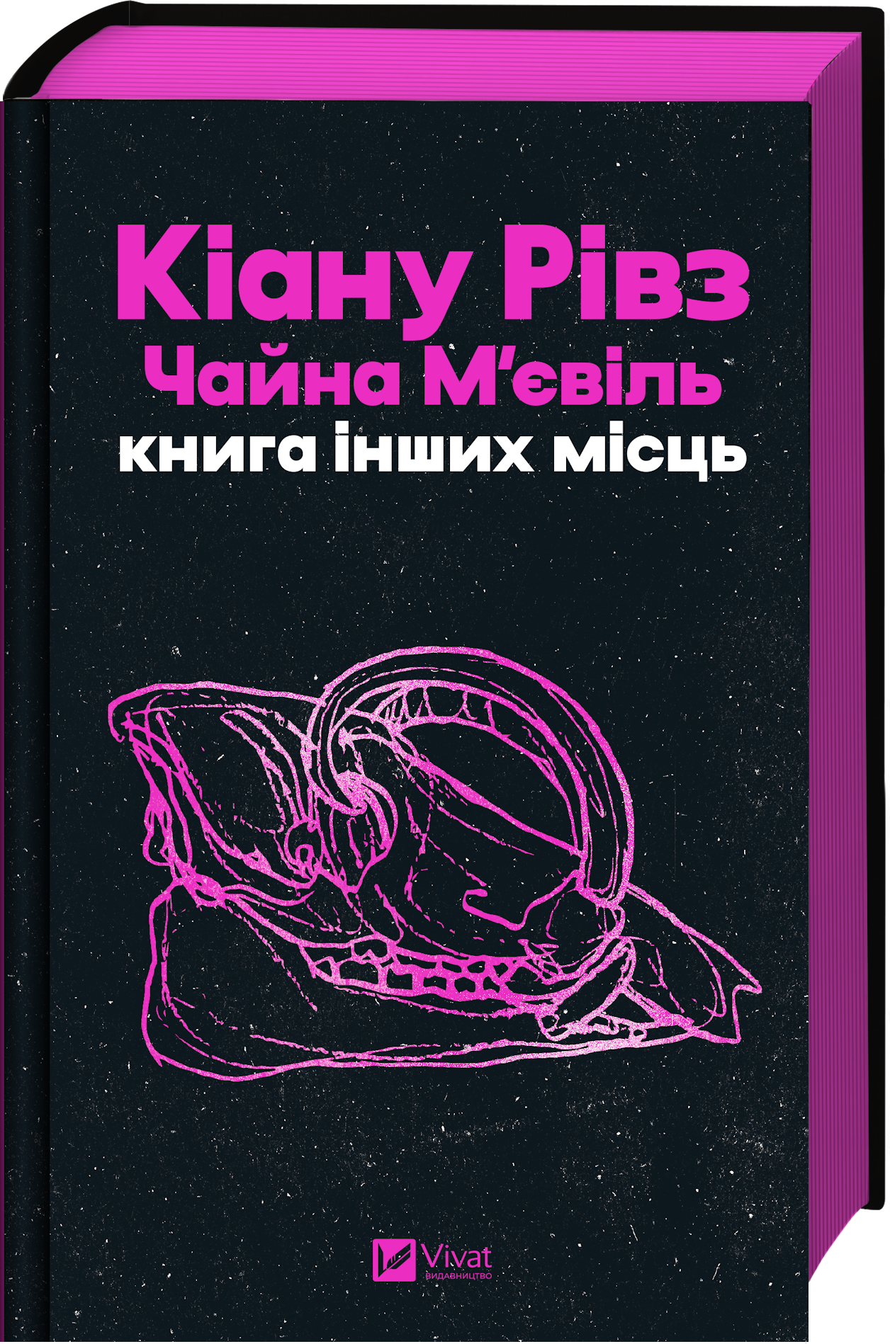 Книга інших місць Книга інших місць - Vivat