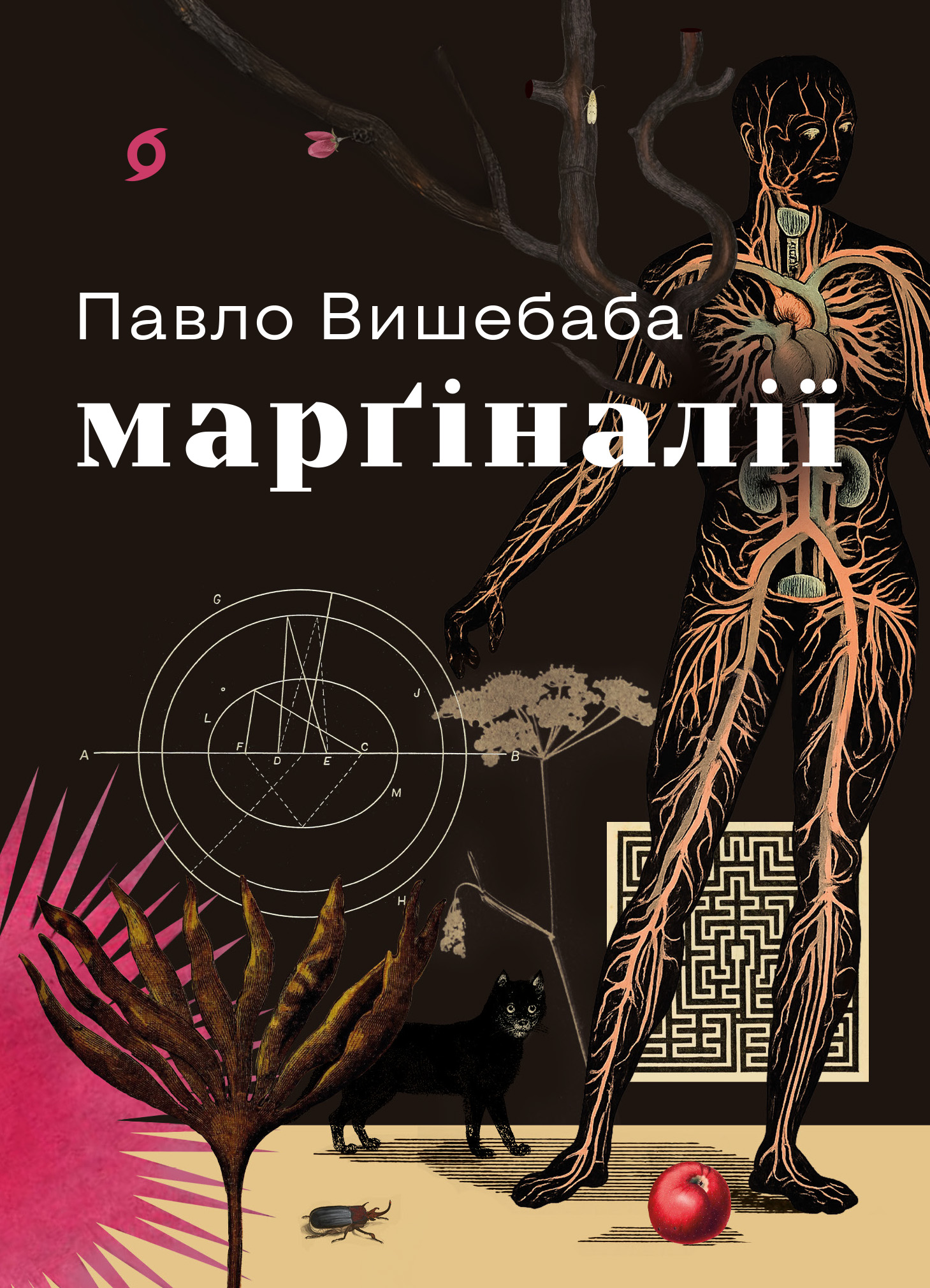 Марґіналії Марґіналії - Vivat