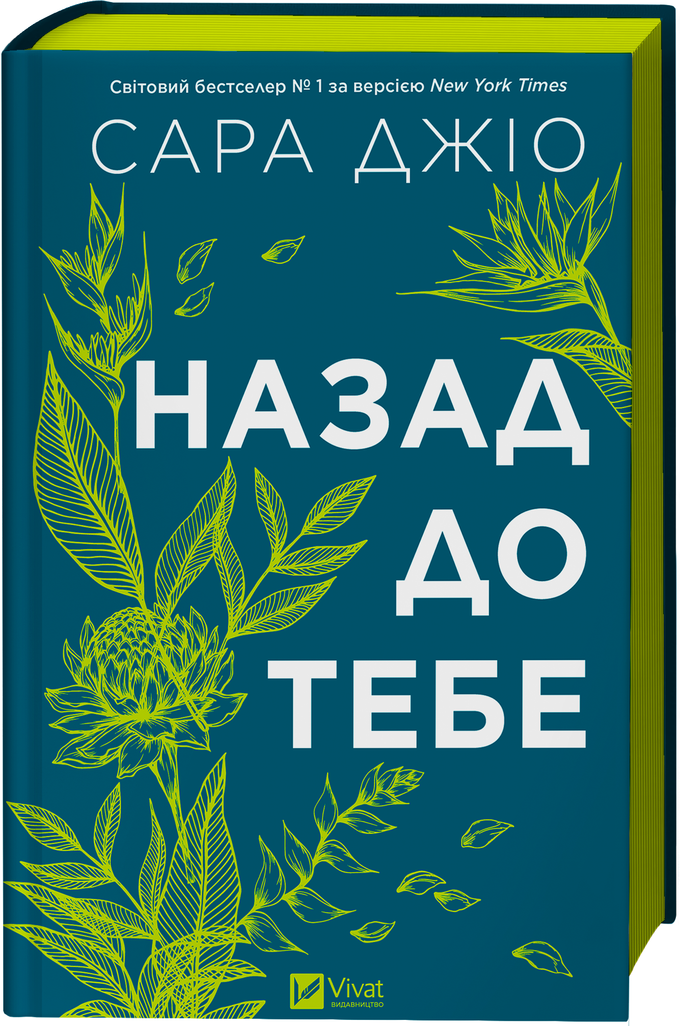 Назад до тебе Назад до тебе - Vivat